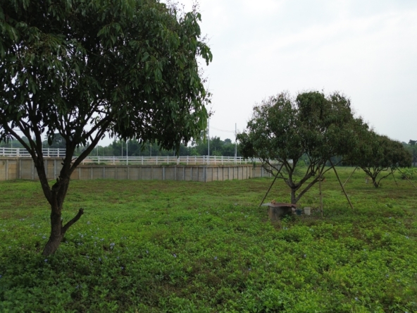 8 Rai Land for Sale | Saluang