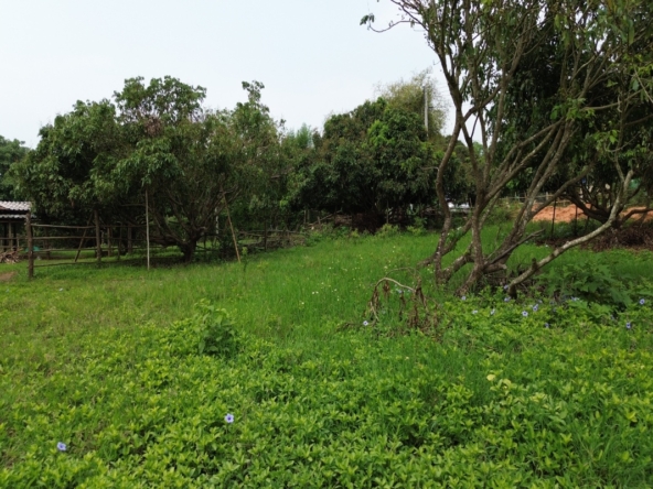 8 Rai Land for Sale | Saluang