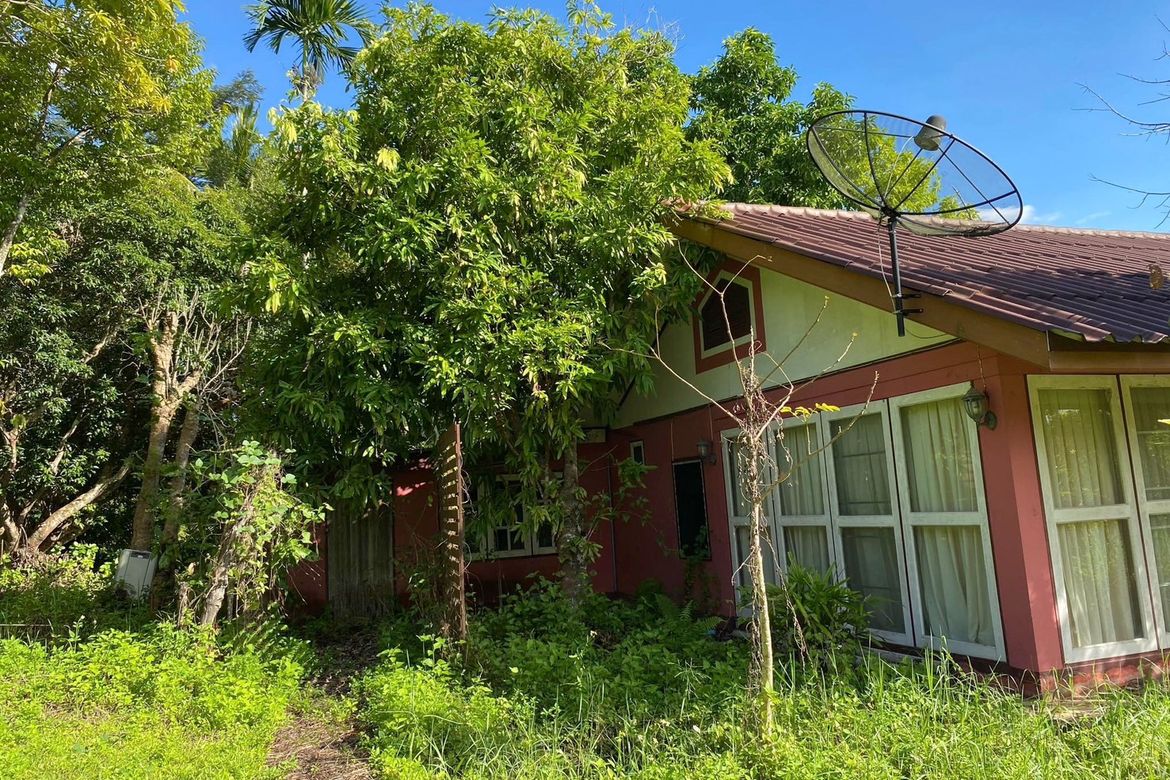 Large plot for sale in Mae On
