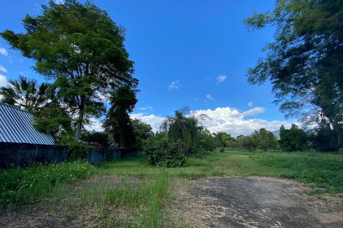 Large plot for sale in Mae On