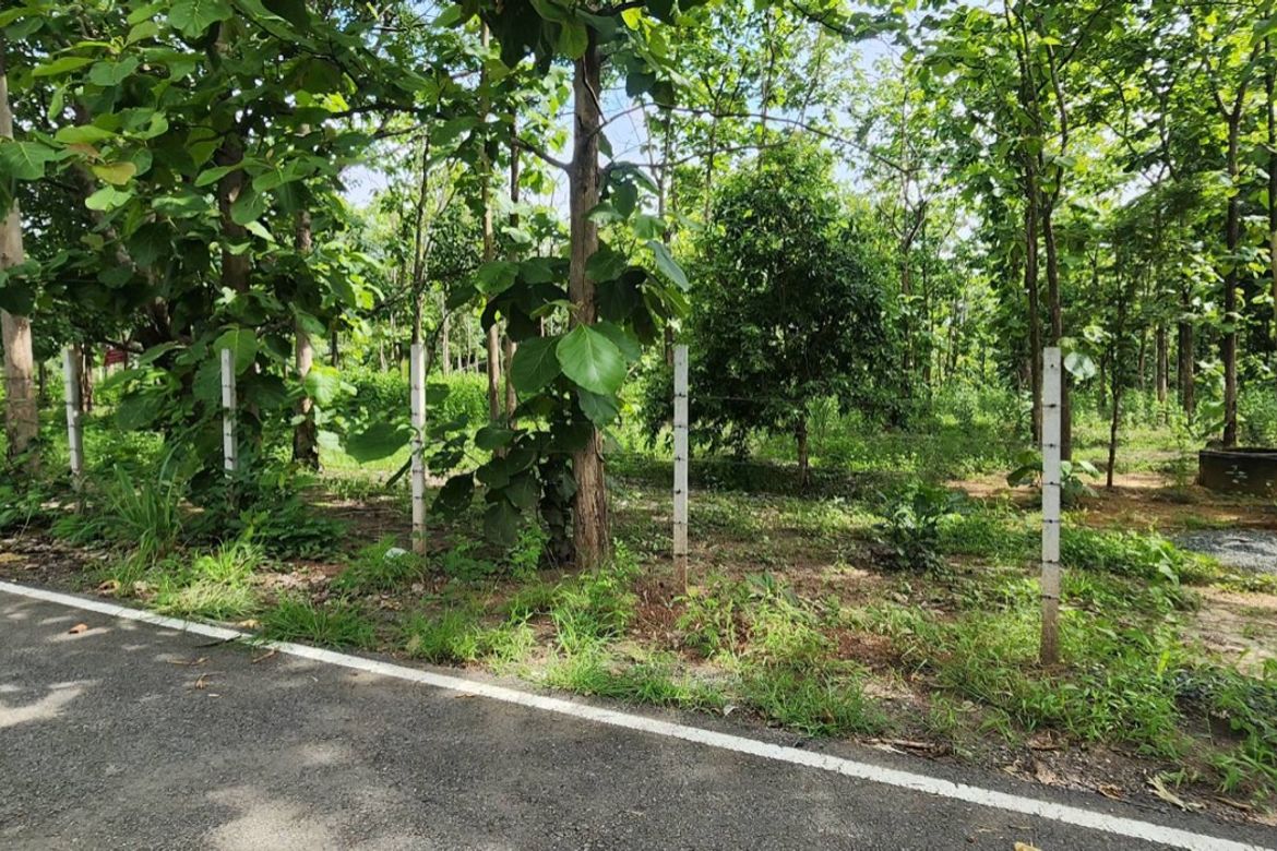 Land for sale-P-PLS1143