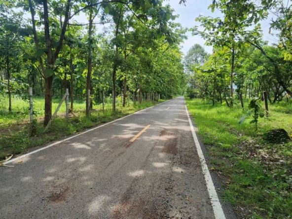Land for sale-P-PLS1143