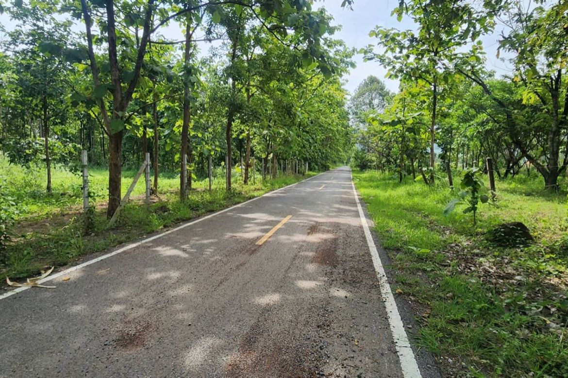 Land for sale-P-PLS1143