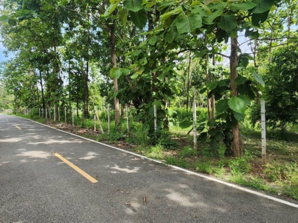Land for sale-P-PLS1143