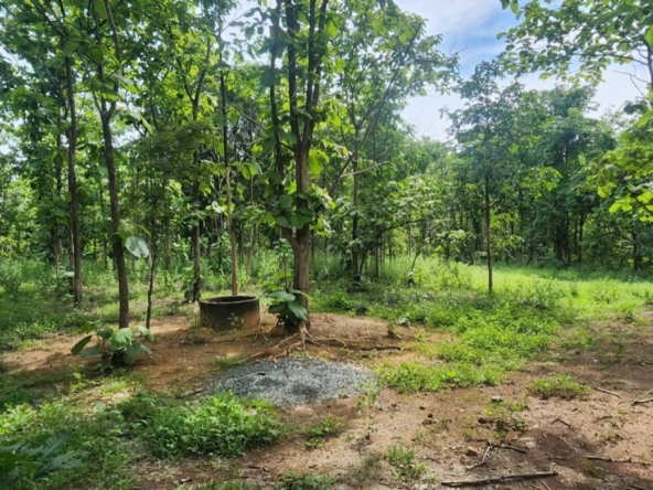 Land for sale-P-PLS1143