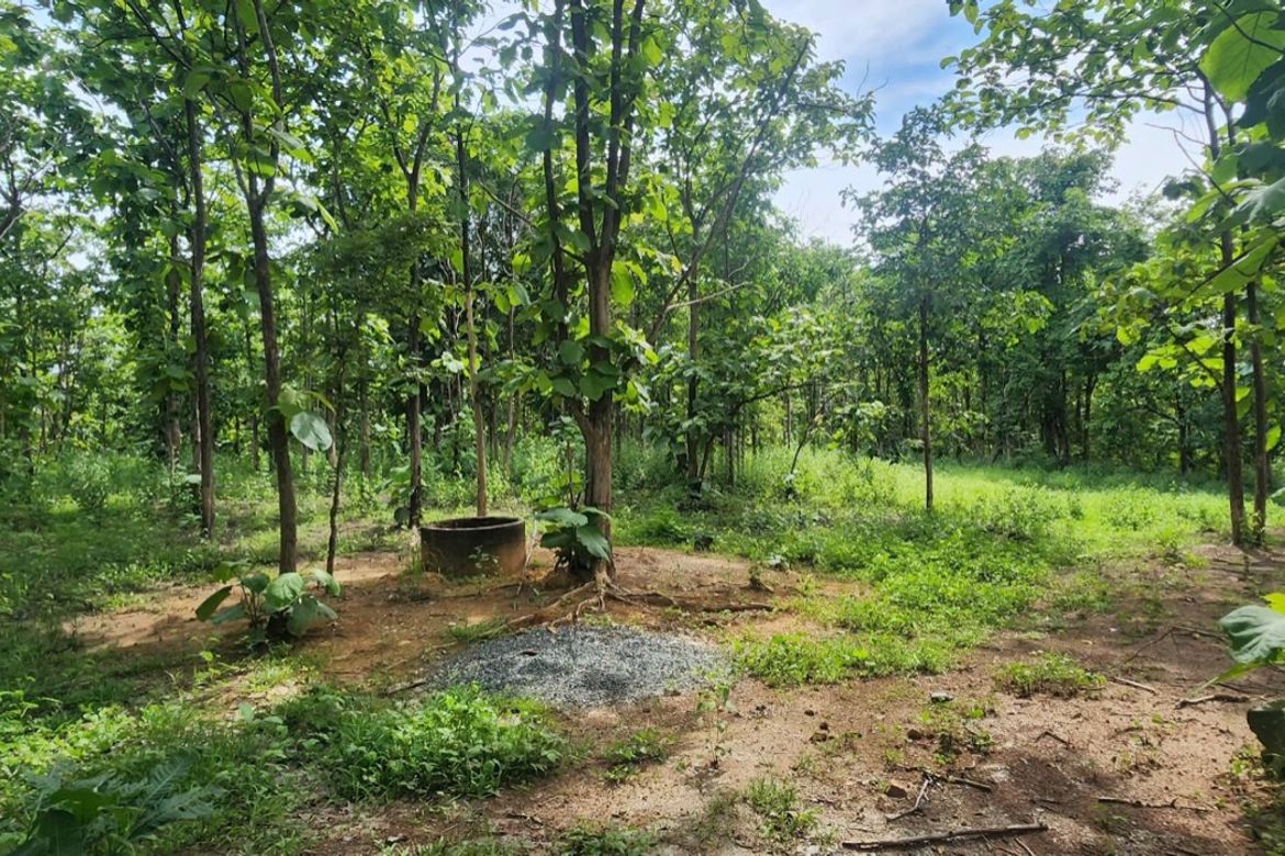 Land for sale-P-PLS1143