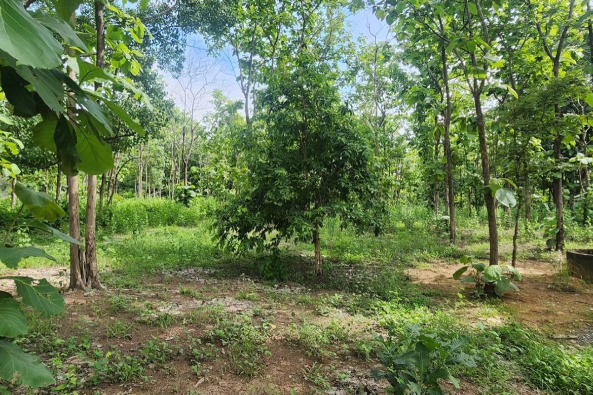 Land for sale-P-PLS1143