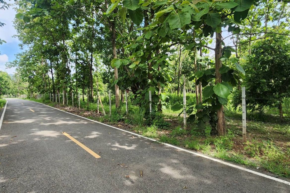 Land for sale-P-PLS1143