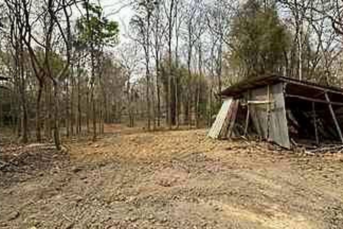 Mae Rim