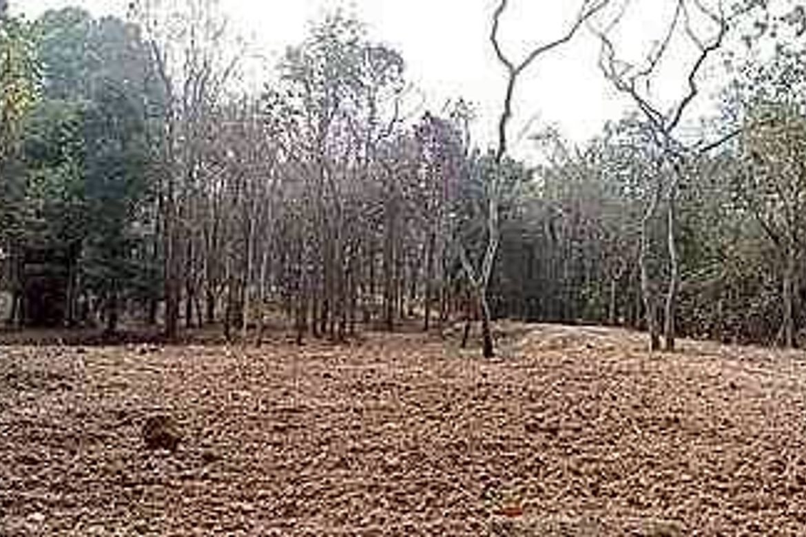Beautiful plot near Four Seasons Hotel for sale
