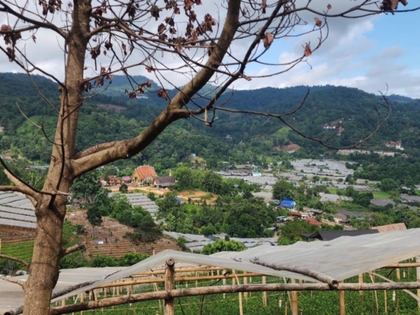 360 degrees mountain view for sale in Mae Rim
