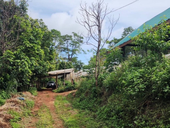 360 degrees mountain view for sale in Mae Rim