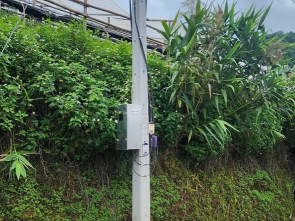 Chiang Mai-P-PLS1148
