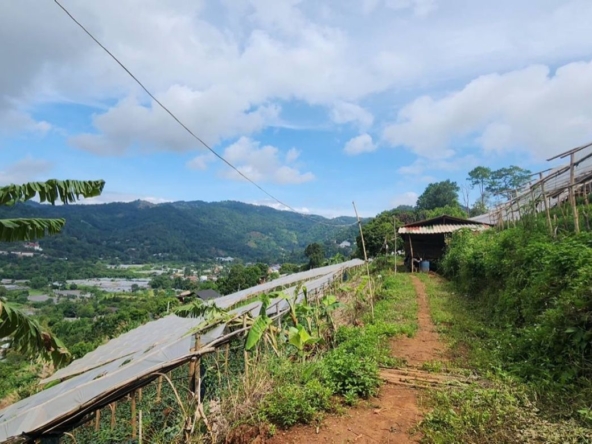 360 degrees mountain view for sale in Mae Rim