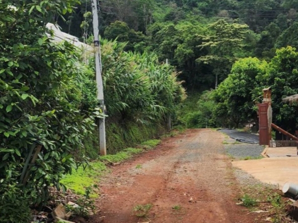 360 degrees mountain view for sale in Mae Rim