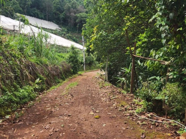 360 degrees mountain view for sale in Mae Rim