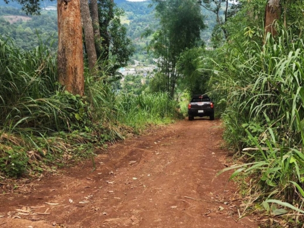 360 degrees mountain view for sale in Mae Rim