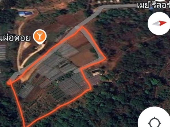 Chiang Mai-P-PLS1148