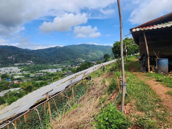 360 degrees mountain view for sale in Mae Rim