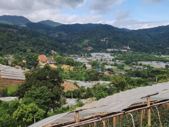 Chiang Mai-P-PLS1148