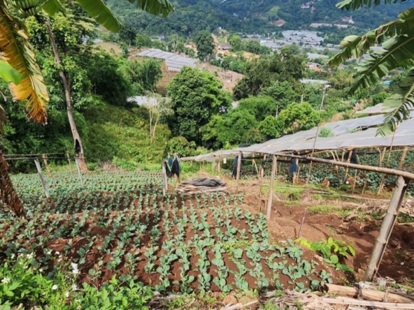 360 degrees mountain view for sale in Mae Rim