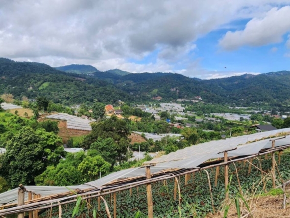 360 degrees mountain view for sale in Mae Rim