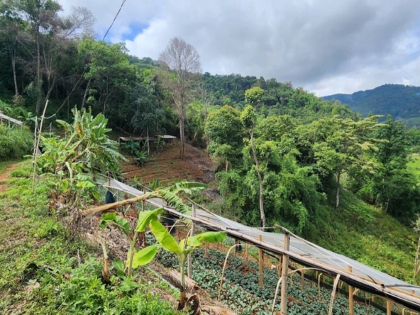 360 degrees mountain view for sale in Mae Rim