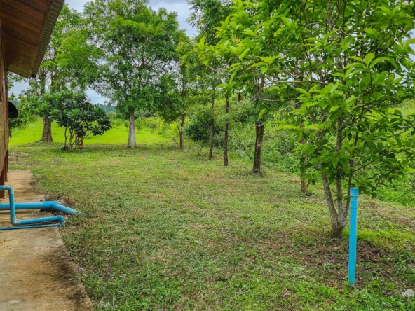 House and Land For Sale In Lap-Lae, Uttaradit, Thailand