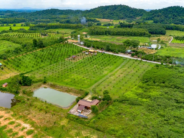 House and Land For Sale In Lap-Lae, Uttaradit, Thailand
