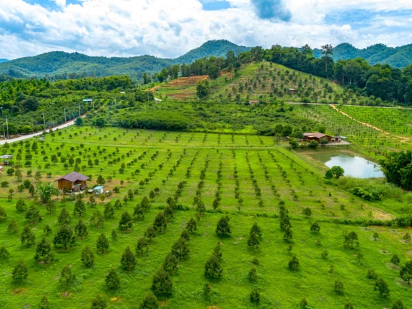 House and Land For Sale In Lap-Lae, Uttaradit, Thailand