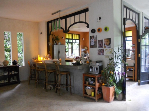 Hang Dong Estate: A Private Oasis of Serenity and Style-TNP-D404