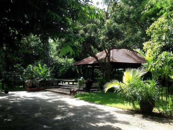 Hang Dong Estate: A Private Oasis of Serenity and Style-TNP-D404
