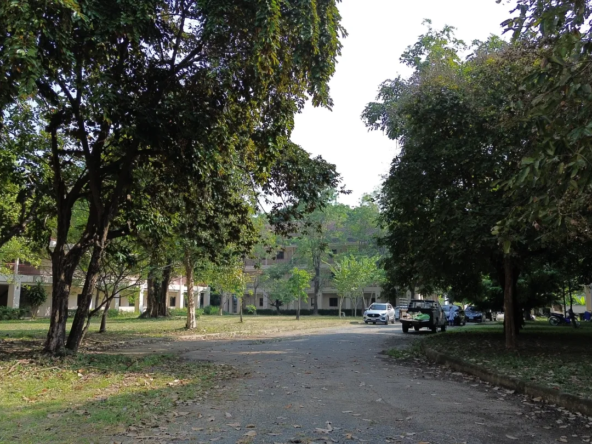 Chiang Mai Properties – 96-Unit Apartment Complex for Sale-CMP-376