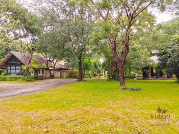 Chiang Mai-I-4085