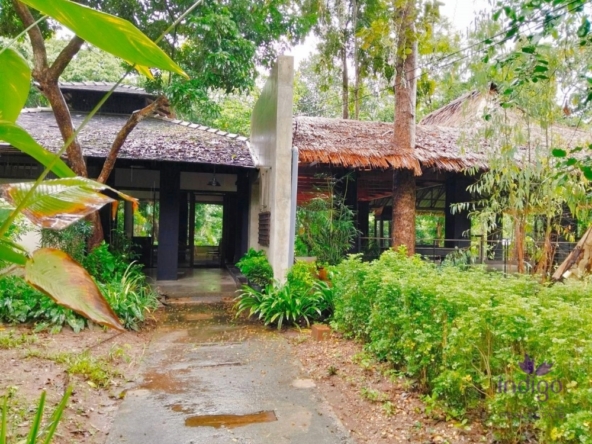 Chiang Mai-I-4085