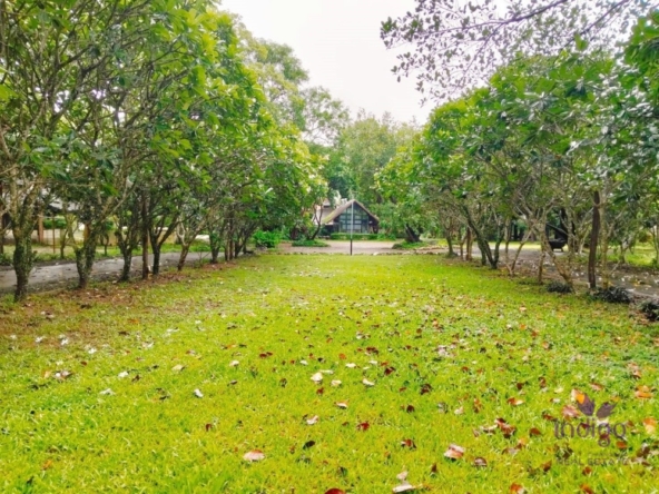Land and Spa for sale suitable for Rehabilitation Resort or Wellness Resort wiht land size 11 Rai at Nampare