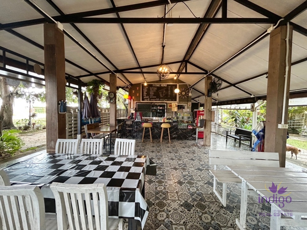 or organic farm at Muang Kaew