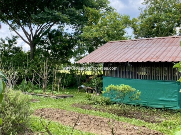 Chiang Rai-DSP-(HS378-05) Lovely Garden Home and Guest Houses with Rice Field Views for Sale in Wiang Pa Pao