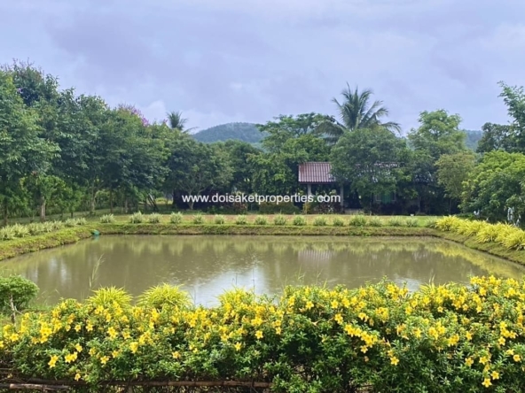 Chiang Rai-DSP-(HS378-05) Lovely Garden Home and Guest Houses with Rice Field Views for Sale in Wiang Pa Pao