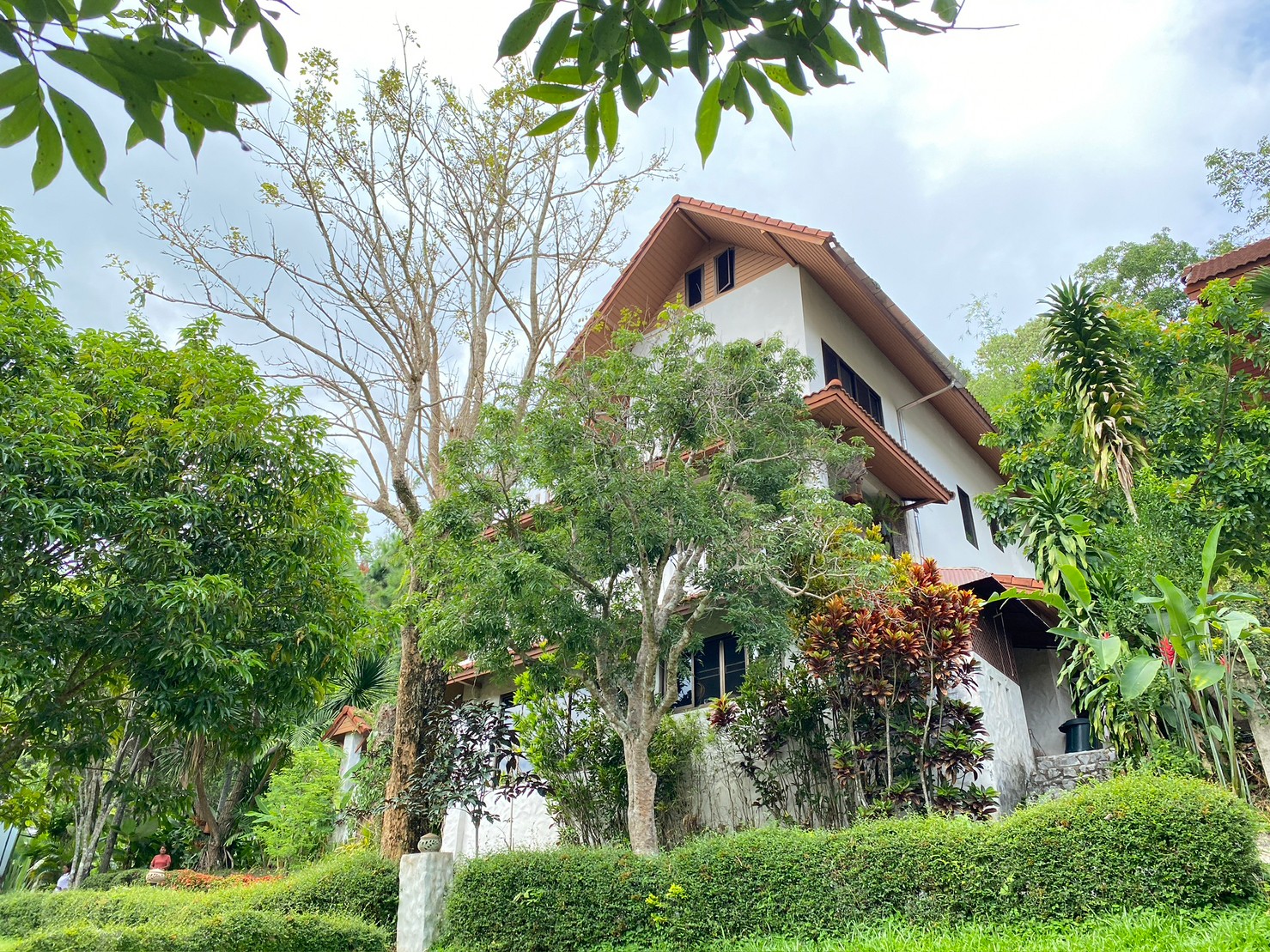 A unique rustic mountain home for sale in Pong Yang