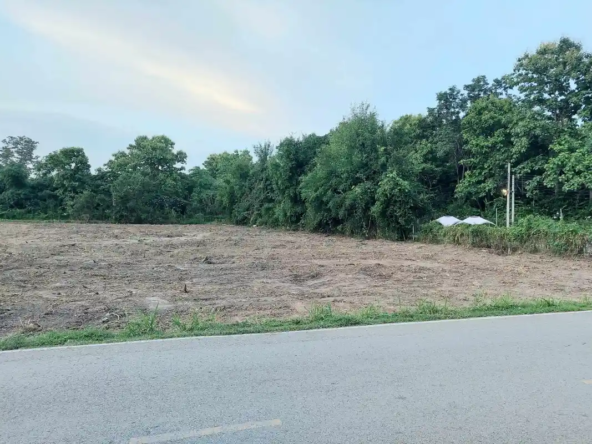 Premium Land for Sale Mae Rim Chiang Mai-CMP-421