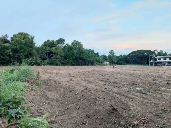 Premium Land for Sale Mae Rim Chiang Mai-CMP-421