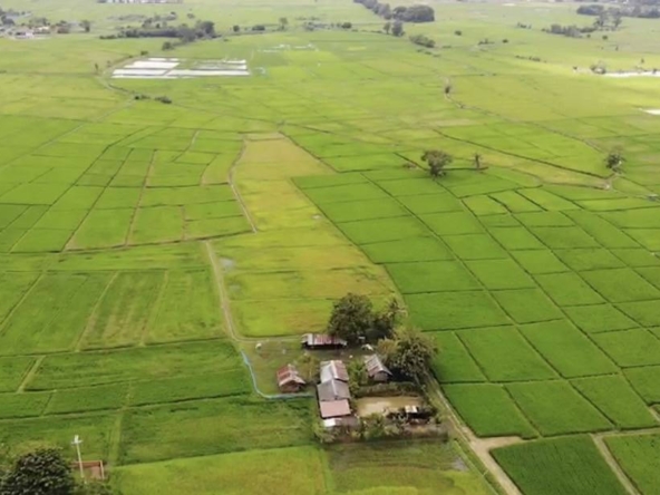 12 Rai of rice paddy field for sale in Doi Saket-SHG-LS101