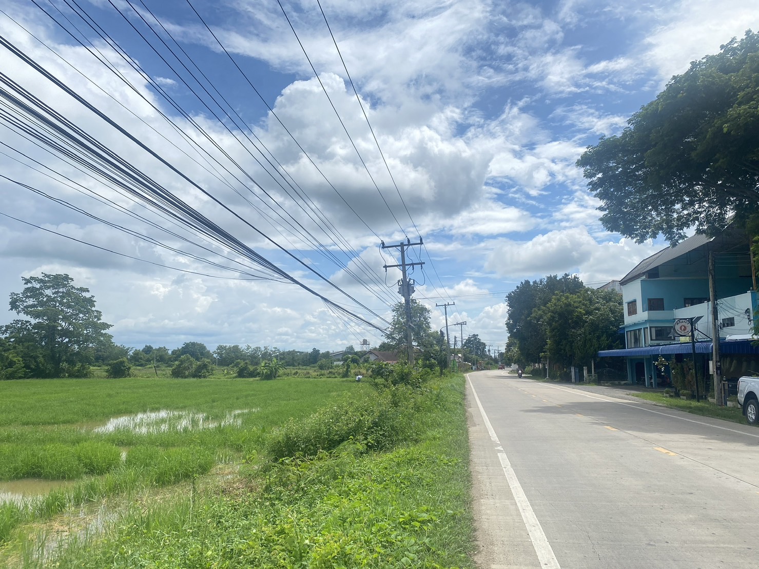 14-3-82 Rai of land for sale near San Kamphaeng-SHG-LS102