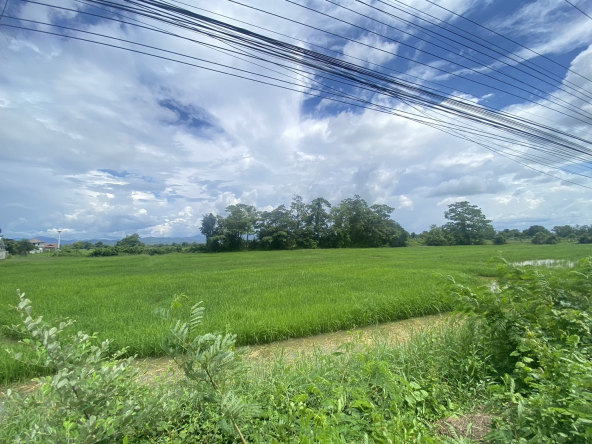 14-3-82 Rai of land for sale near San Kamphaeng-SHG-LS102
