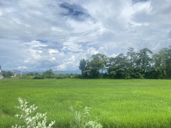 14-3-82 Rai of land for sale near San Kamphaeng-SHG-LS102