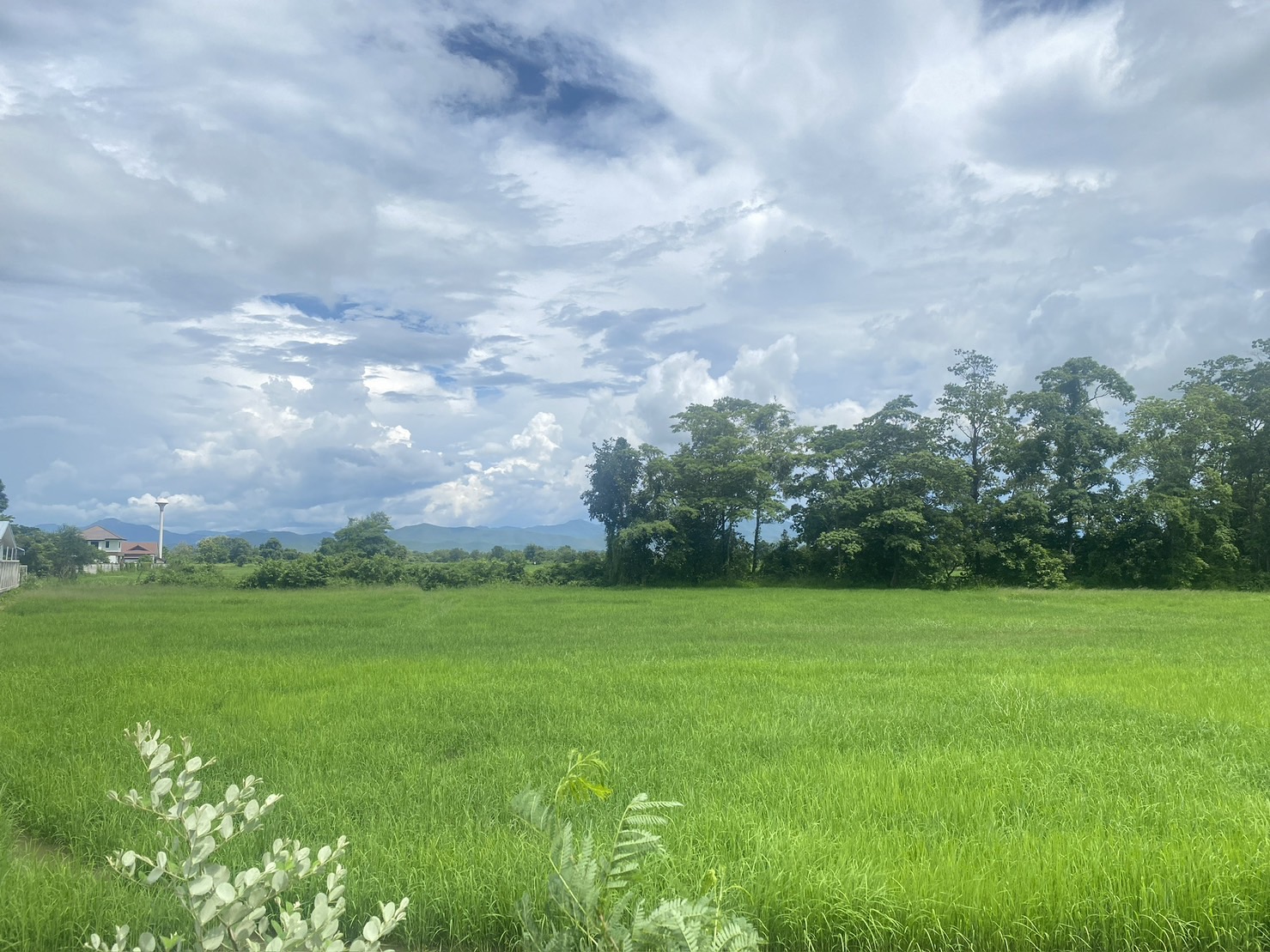 14-3-82 Rai of land for sale near San Kamphaeng-SHG-LS102