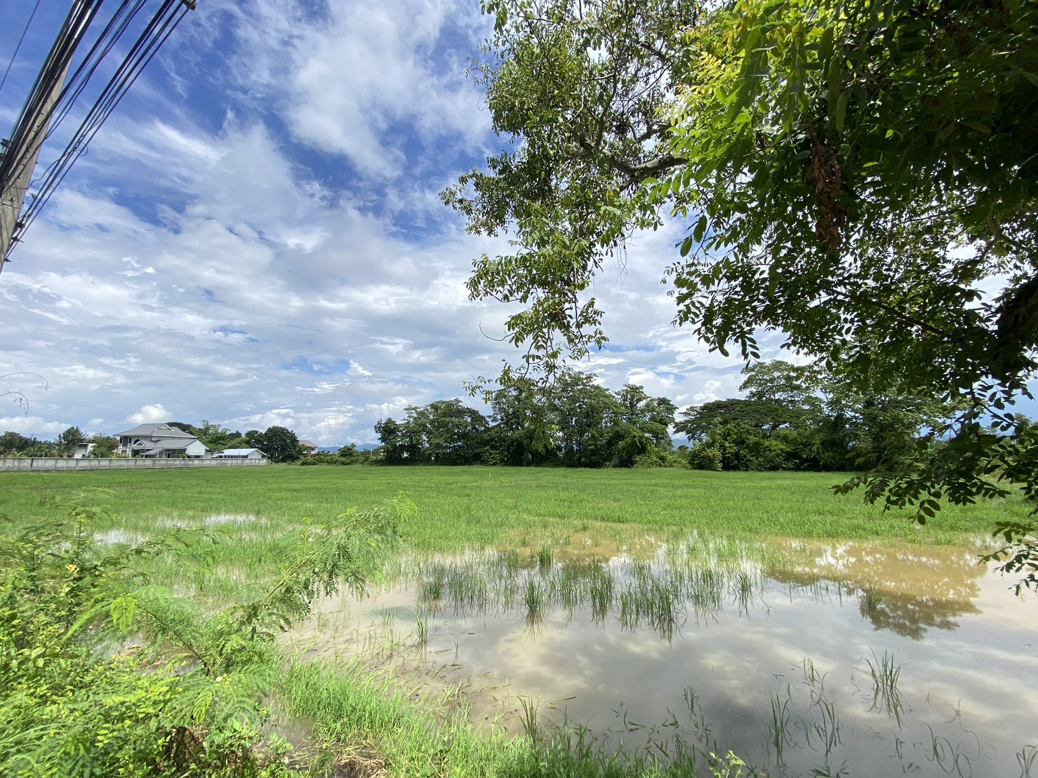 14-3-82 Rai of land for sale near San Kamphaeng-SHG-LS102