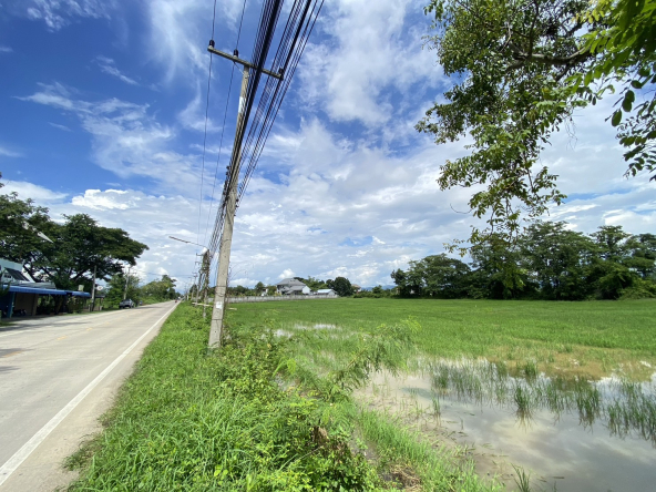 14-3-82 Rai of land for sale near San Kamphaeng-SHG-LS102