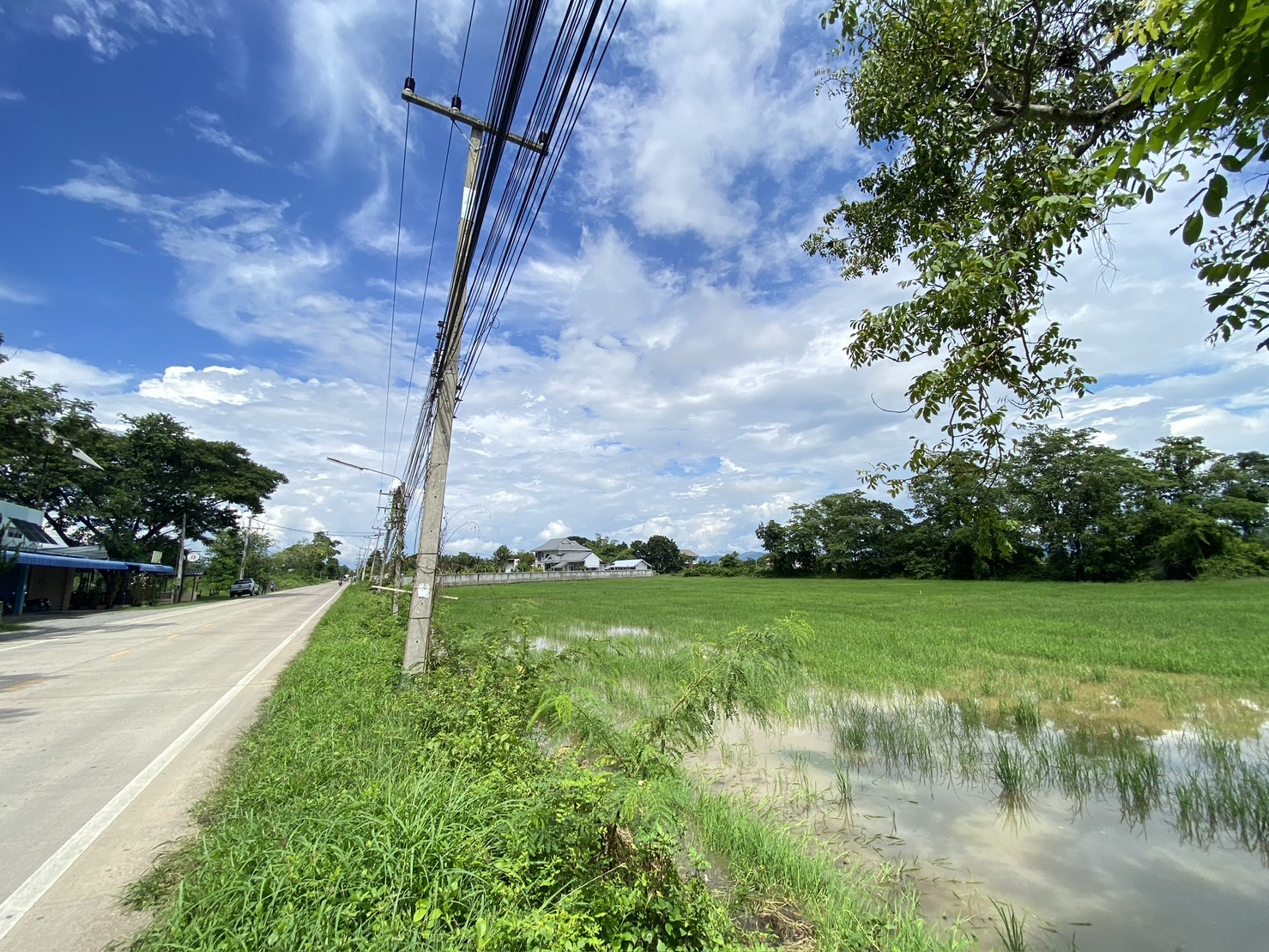 14-3-82 Rai of land for sale near San Kamphaeng-SHG-LS102